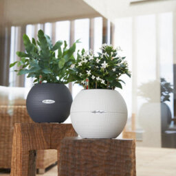 (Dia) 12Cm Small Plant Pot, Sand Brown Plastic Self-Watering Planter With Water Level Indicator Lechuza Puro Color W20 H16 Cm - thumbnail 8