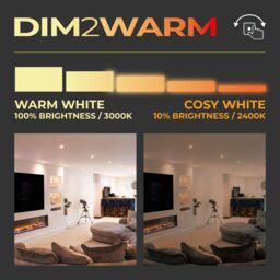 Luceco Ftype Mk2 Brushed Steel Effect Fixed Led Fire-Rated Warm White Downlight 6W Ip65 - thumbnail 9