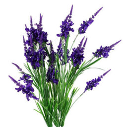 Pegdev - Pdl - Pack Of 6 Artificial Larkspur Stems 80Cm Silk Flowers In Purple For Home Or Displays