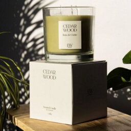 Marco Paul Scented 3 Wick Candle - Cedar Wood - thumbnail 7