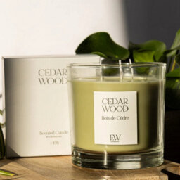 Marco Paul Scented 3 Wick Candle - Cedar Wood - thumbnail 1