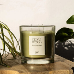 Marco Paul Scented 3 Wick Candle - Cedar Wood - thumbnail 4