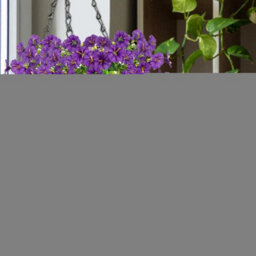 Artificial Outdoor Hanging Petunia Flowers, 2 Pieces Faux Petunias, Hanging Artificial Flowers, Weather Resistant, Uv Resistant - thumbnail 3