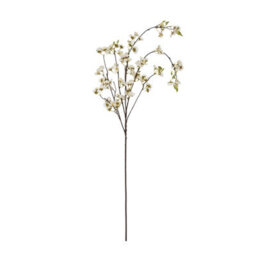 White                  Japanese                  Blossom - thumbnail 4
