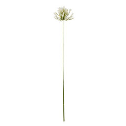 Hill Interiors Agapanthus Artificial Flower Spray Cream (One Size)