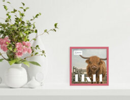 11X11 Pink Picture Frame (27.9 X 27.9Cm) Poster, Photo, Artwork, Gallery Wall Or Print - thumbnail 2