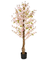 Wyld And Coco 150Cm Artificial Cherry Blossom Tree With Pink Silk-Like Flowers, Ready To Display - thumbnail 1