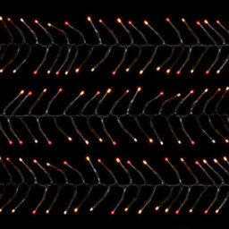 Premier Decorations Limited 480 Led Christmas Cluster Lights Red Vintage Gold Multi Action 6.2M - thumbnail 5