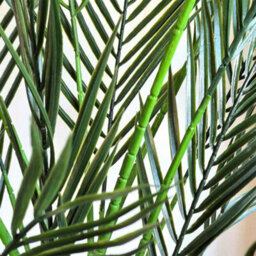 4.5Ft Artificial Palm Tree 135Cm With 20 Leaves & Black Pot - thumbnail 7