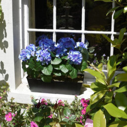 Greenbrokers Artificial Blue Hydrangea Flower In Black Tin Window Box (45Cm) - thumbnail 5