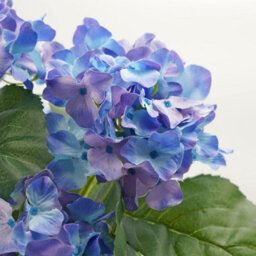 Greenbrokers Artificial Blue Hydrangea Flower In Black Tin Window Box (45Cm) - thumbnail 4
