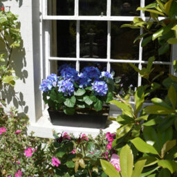 Greenbrokers Artificial Blue Hydrangea Flower In Black Tin Window Box (45Cm) - thumbnail 1
