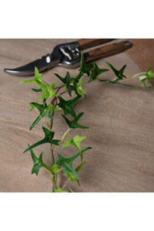Lifelike Ivy Garland For Décor, Arrangements Faux Trailing Vine - thumbnail 5