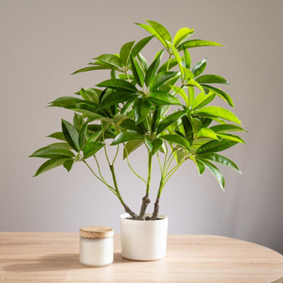 Scottish Everlastings Ltd. Scottish Everlastings Artificial 60Cm Real Touch Schefflera / Umbrella Plant In White Pot - image 1