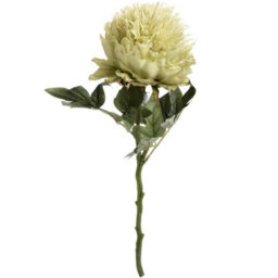 Wyld Haus Set Of 3 Green Artificial Peony Stems, Premium Silk-Look Faux Flowers, 430mm
