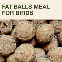 Swissinno Lucerne Bird Feeder For Fat Balls Light Grey - thumbnail 5