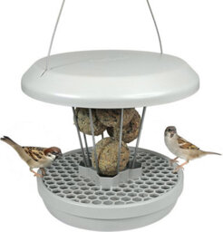 Swissinno Lucerne Bird Feeder For Fat Balls Light Grey - thumbnail 1