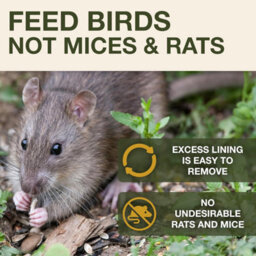 Swissinno Lucerne Bird Feeder For Fat Balls Light Grey - thumbnail 2