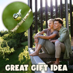 Swissinno Lucerne Bird Feeder For Fat Balls Light Grey - thumbnail 8