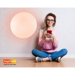 Luminosa Lighting Luminosa Sajama I Decorative Flush Ceiling Light White Led Dimmable 3000-6500K Remote Control Timer Tuya Smart - thumbnail 6