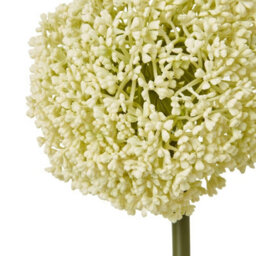 Hill Interiors Allium Stem Artificial Plant Cream (90Cm) - thumbnail 5