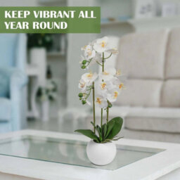 Artificial Orchid Flower Display In Pot 60Cm White Realistic Home Party Decor - thumbnail 3