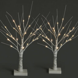 Netta Set Of 2 2Ft Twig Birch Tree With Pre-Lit With 24 Warm White Leds - Battery Powered - White - thumbnail 1