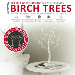 Netta Set Of 2 2Ft Twig Birch Tree With Pre-Lit With 24 Warm White Leds - Battery Powered - White - thumbnail 2
