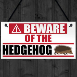 Red Ocean Hedgehog Warning Nesting Care - thumbnail 4