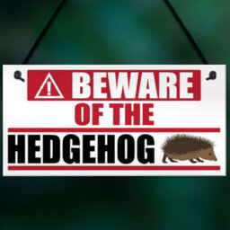 Red Ocean Hedgehog Warning Nesting Care - thumbnail 5
