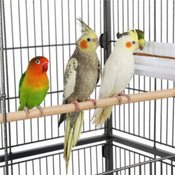 Yaheetech Black Metal Rolling Bird Cage With 3 Perches & 4 Feeders & Storage Shelf - thumbnail 6