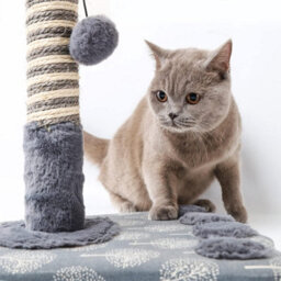 "Nobleza 16"" Tall Cat Scratching Post 40Cm, Claw Scratcher Natural Sisal Scratch Tree With Ball For Indoor Cat Kitten, 36X36X40Cm." - thumbnail 5