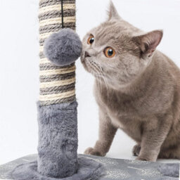 "Nobleza 16"" Tall Cat Scratching Post 40Cm, Claw Scratcher Natural Sisal Scratch Tree With Ball For Indoor Cat Kitten, 36X36X40Cm." - thumbnail 4