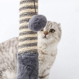 "Nobleza 16"" Tall Cat Scratching Post 40Cm, Claw Scratcher Natural Sisal Scratch Tree With Ball For Indoor Cat Kitten, 36X36X40Cm." - thumbnail 3