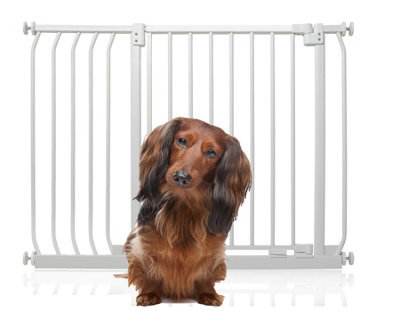 Bettacare Elite Pressure Dog Gate, 98Cm -107Cm, Matt White, Pressure Fit Pet Gate For Dog And Puppy - image 1