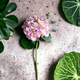 Artificial Silk Hydrangea Stem, Blush Lavender. H42 Cm. - thumbnail 3