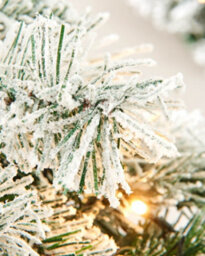 Werchristmas Pre-Lit Snow-Flocked Spruce Artificial Christmas Garland 9 Ft, 20 Warm White Leds - thumbnail 6