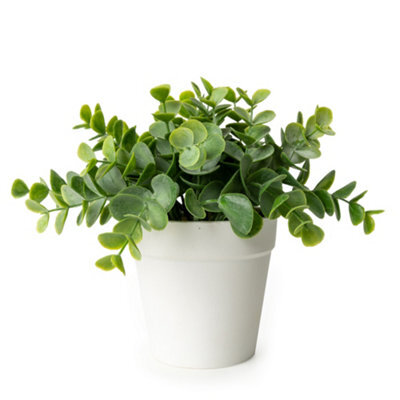 Candlelight White & Green 17Cm Eucalyptus Artificial Plant In White Plastic Pot