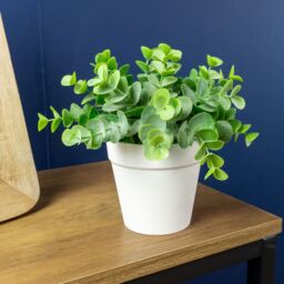 Candlelight White & Green 17Cm Eucalyptus Artificial Plant In White Plastic Pot - thumbnail 3