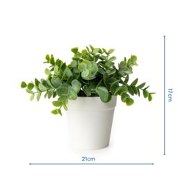 Candlelight White & Green 17Cm Eucalyptus Artificial Plant In White Plastic Pot - thumbnail 4
