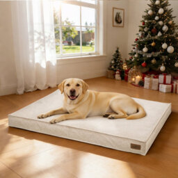 Bingopaw Orthopedic Dog Bed For Crate, 118X89X12Cm Dog Crate Bed For Aggresive Chewers, Khaki - thumbnail 1
