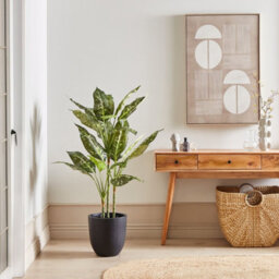 Wyld And Coco Artificial Potted Dieffenbachia Plant 110 Cm In Cement Pot, Green And Black - thumbnail 2