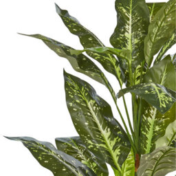 Wyld And Coco Artificial Potted Dieffenbachia Plant 110 Cm In Cement Pot, Green And Black - thumbnail 3