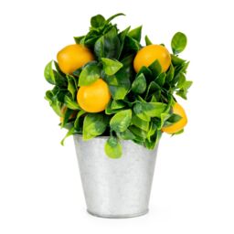 Candlelight Green & Yellow 23.5Cm Lemon Pot With Artificial Plant In Silver Tin Pot - thumbnail 4