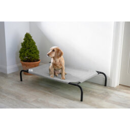 VegTrug Coolaroo Raised Dog Bed- Pet Bed - Large - Grey - thumbnail 4