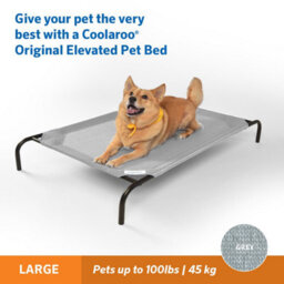 VegTrug Coolaroo Raised Dog Bed- Pet Bed - Large - Grey - thumbnail 1