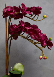 Orsina Fiori Aubergine Orchid Plant Artificial Plant Foliage - thumbnail 6