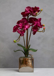 Orsina Fiori Aubergine Orchid Plant Artificial Plant Foliage - thumbnail 5