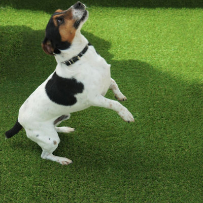 "Rio 30mm Artificial Grass, Plush Artificial Grass, Pet-Friendly Artificial Grass, Premium Grass-3M(9'9"") X 4M(13'1"")-12M²" - image 1