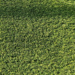 "Rio 30mm Artificial Grass, Plush Artificial Grass, Pet-Friendly Artificial Grass, Premium Grass-3M(9'9"") X 4M(13'1"")-12M²" - thumbnail 8